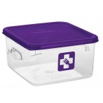1980321-1980200-rcp-food-storage-color-coded-square-container-4qt-red-with-lid-primary_low